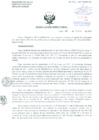 Vista preliminar de documento Resolución de Dirección General