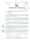Vista preliminar de documento Resolución de Dirección General