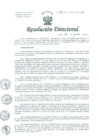 Vista preliminar de documento Resolución de Dirección General