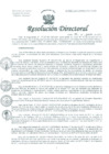 Vista preliminar de documento Resolución de Dirección General