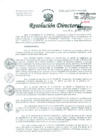 Vista preliminar de documento Resolución de Dirección General