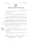 Vista preliminar de documento Resolución de Dirección General