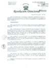 Vista preliminar de documento Resolución de Dirección General