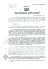 Vista preliminar de documento Resolución de Dirección General