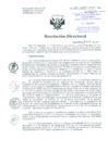Vista preliminar de documento Resolución de Dirección General