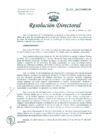 Vista preliminar de documento Resolución de Dirección General