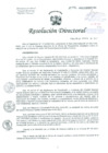 Vista preliminar de documento Resolución de Dirección General