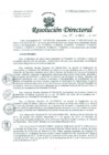 Vista preliminar de documento Resolución de Dirección General