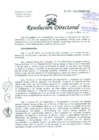 Vista preliminar de documento Resolución de Dirección General