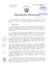 Vista preliminar de documento Resolución de Dirección General