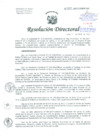 Vista preliminar de documento Resolución de Dirección General
