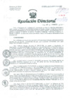 Vista preliminar de documento Resolución de Dirección General
