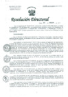Vista preliminar de documento Resolución de Dirección General