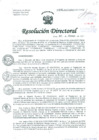 Vista preliminar de documento Resolución de Dirección General