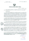 Vista preliminar de documento Resolución de Dirección General