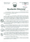 Vista preliminar de documento Resolución de Dirección General