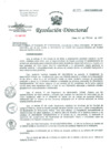 Vista preliminar de documento Resolución de Dirección General