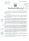 Vista preliminar de documento Resolución de Dirección General