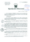 Vista preliminar de documento Resolución de Dirección General