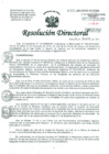 Vista preliminar de documento Resolución de Dirección General