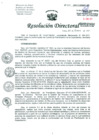 Vista preliminar de documento Resolución de Dirección General