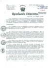 Vista preliminar de documento Resolución de Dirección General