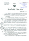 Vista preliminar de documento Resolución de Dirección General