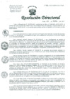 Vista preliminar de documento Resolución de Dirección General