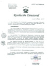 Vista preliminar de documento Resolución de Dirección General