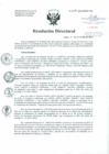Vista preliminar de documento Resolución de Dirección General
