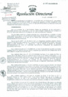 Vista preliminar de documento Resolución de Dirección General