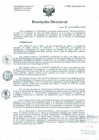 Vista preliminar de documento Resolución de Dirección General