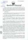 Vista preliminar de documento Resolución de Dirección General