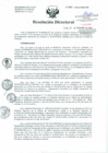 Vista preliminar de documento Resolución de Dirección General