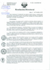 Vista preliminar de documento Resolución de Dirección General