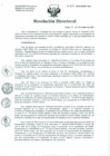 Vista preliminar de documento Resolución de Dirección General
