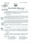 Vista preliminar de documento Resolución de Dirección General
