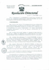 Vista preliminar de documento Resolución de Dirección General