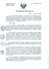 Vista preliminar de documento Resolución de Dirección General