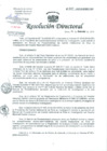 Vista preliminar de documento Resolución de Dirección General