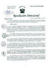 Vista preliminar de documento Resolución de Dirección General