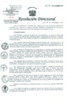Vista preliminar de documento Resolución de Dirección General