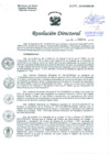 Vista preliminar de documento Resolución de Dirección General
