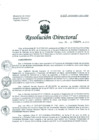 Vista preliminar de documento Resolución de Dirección General