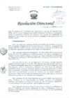 Vista preliminar de documento Resolución de Dirección General