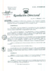 Vista preliminar de documento Resolución de Dirección General