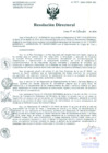 Vista preliminar de documento Resolución de Dirección General