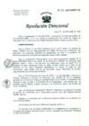 Vista preliminar de documento Resolución de Dirección General