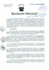 Vista preliminar de documento Resolución de Dirección General
