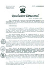 Vista preliminar de documento Resolución de Dirección General